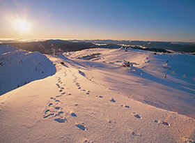 Snow Coach to Mt Buller